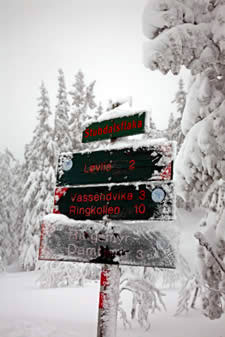 Noorwegen wintersport